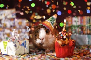 Mottoparty Kindergeburtstag