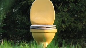 Urinstein im Klo & Ablagerungen in Toilette entfernen