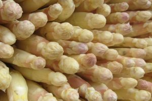 Anleitung & Tipps zum Spargel kochen