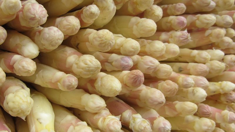 Anleitung & Tipps zum Spargel kochen