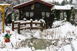 Gartenarbeit im Winter