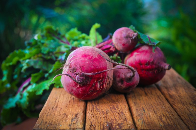 Rote Bete Tipps Rezepte