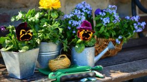 Sicherheit Gartenarbeit im Sommer