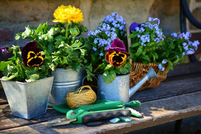 Sicherheit Gartenarbeit im Sommer