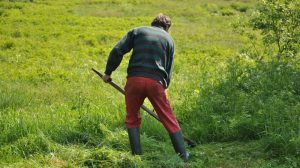 Tipps Ausstattung Gartenarbeit