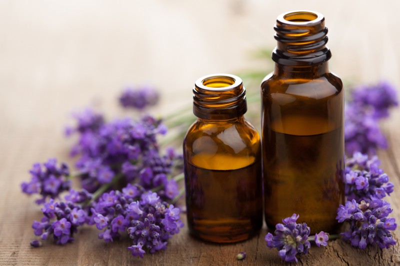 Lavendel als Hausmittel und Heilpflanze