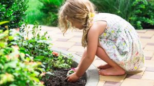 Garten Helfer