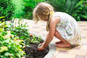 Garten Helfer