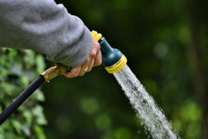 Wasserparen Garten