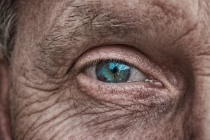 Auge Fokus