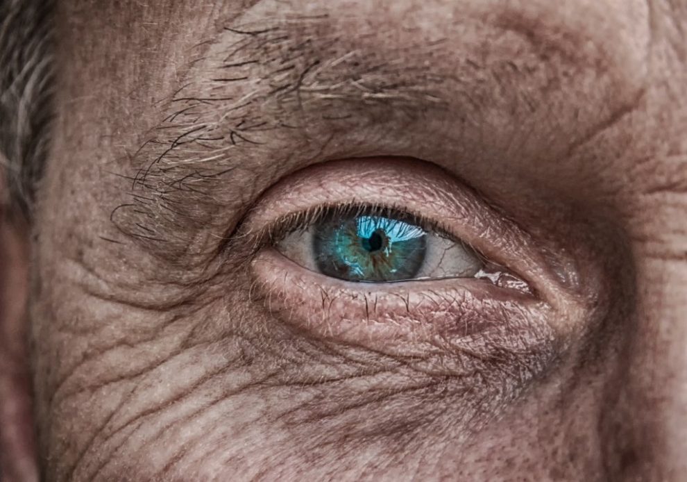 Auge Fokus